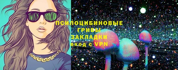 apvp Вязьма